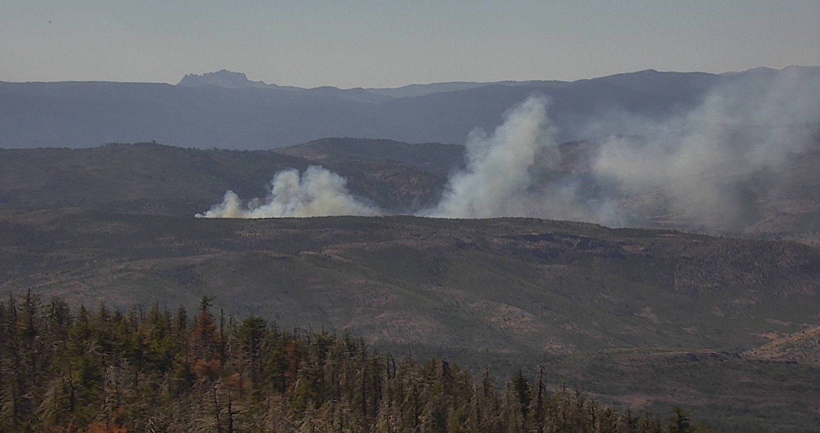 An image of the Bear Fire provided by the US Forest Service.