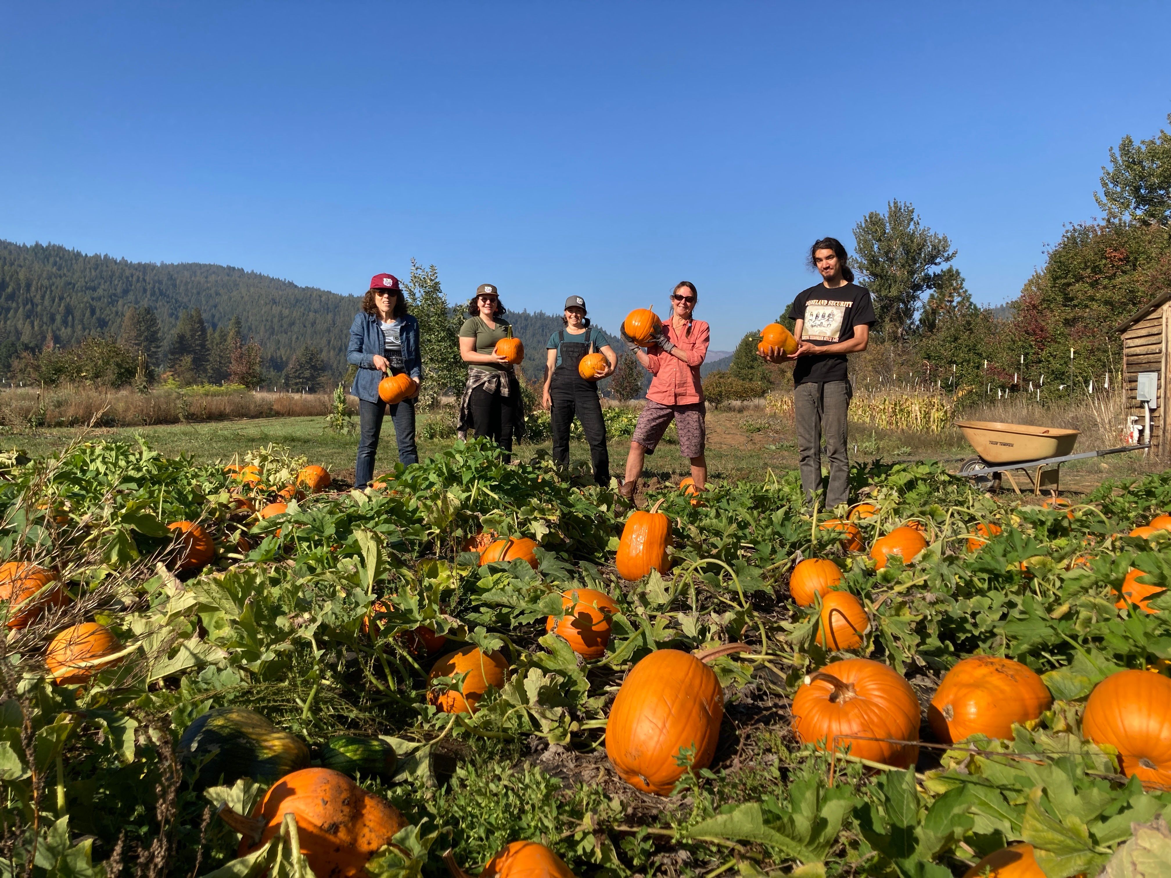 Quincy Pumpkin Patch Scheduled for October 4