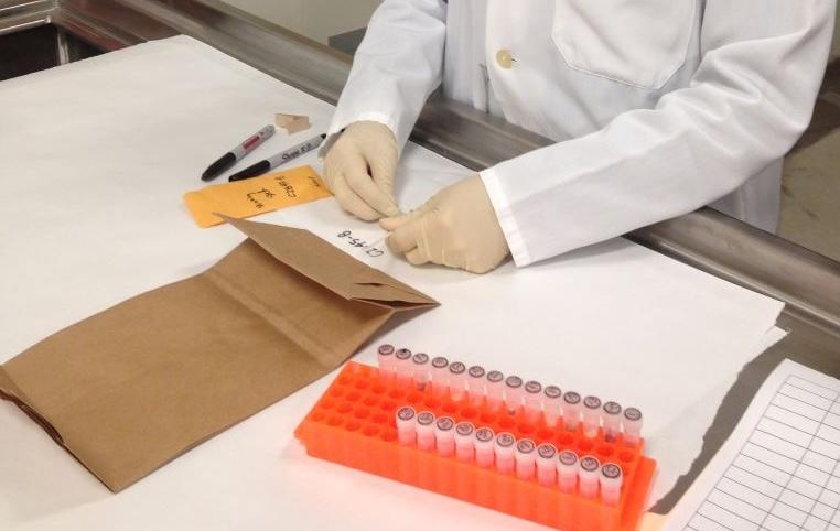 The Department of Fish and Wildlife’s Wildlife Forensics Lab analyzes samples to match mountain lion DNA