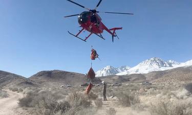 Fish and Wildlife Plans to Collar More Deer, Elk, and Wolves