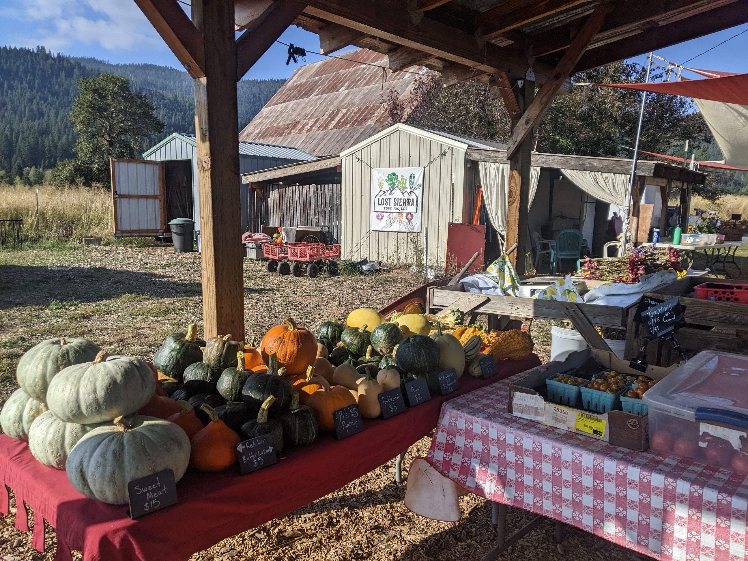 Pumpkins and more will be available for purchase at the October 4 event. Photo courtesy of Lost Sierra Food Project.