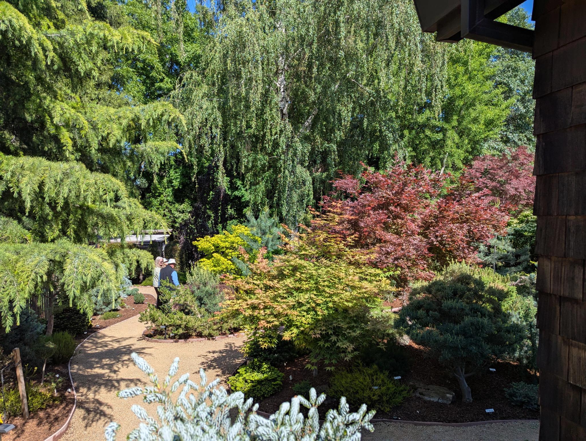 Bob Park (back to camera) shares Conifer Hill with guests.