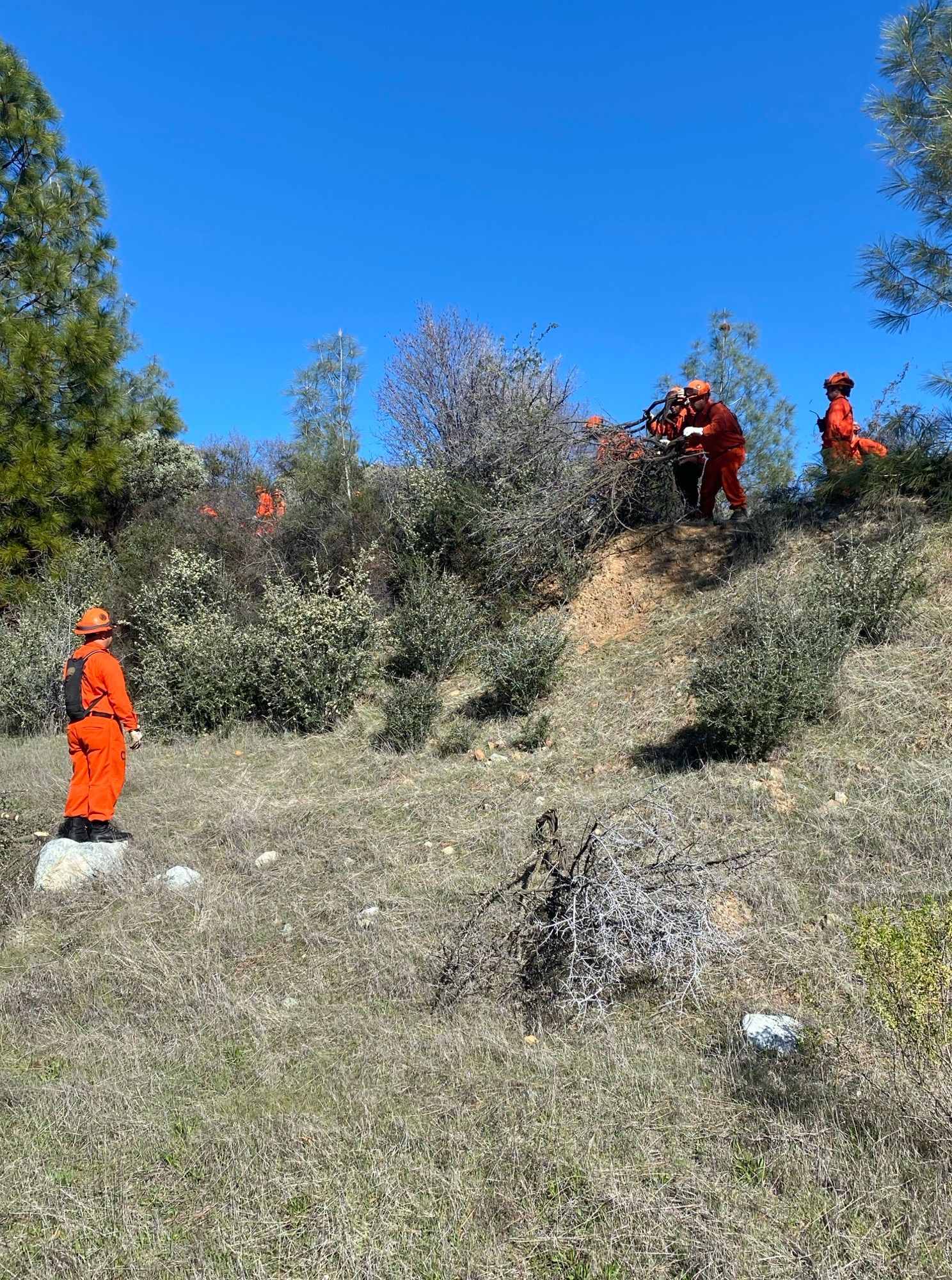 Creative FireScaping: What Next?