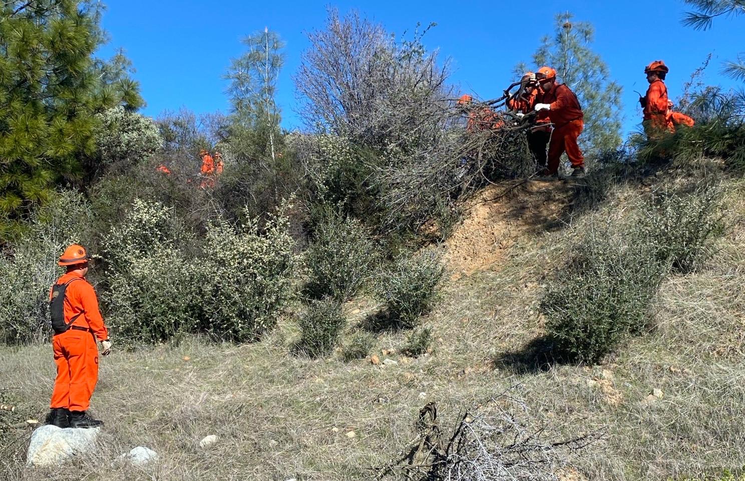 Cal Fire performs vegetation management in Nevada County to create defensible space. Photo courtesy of Cal Fire.