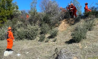 Creative FireScaping: What Next?