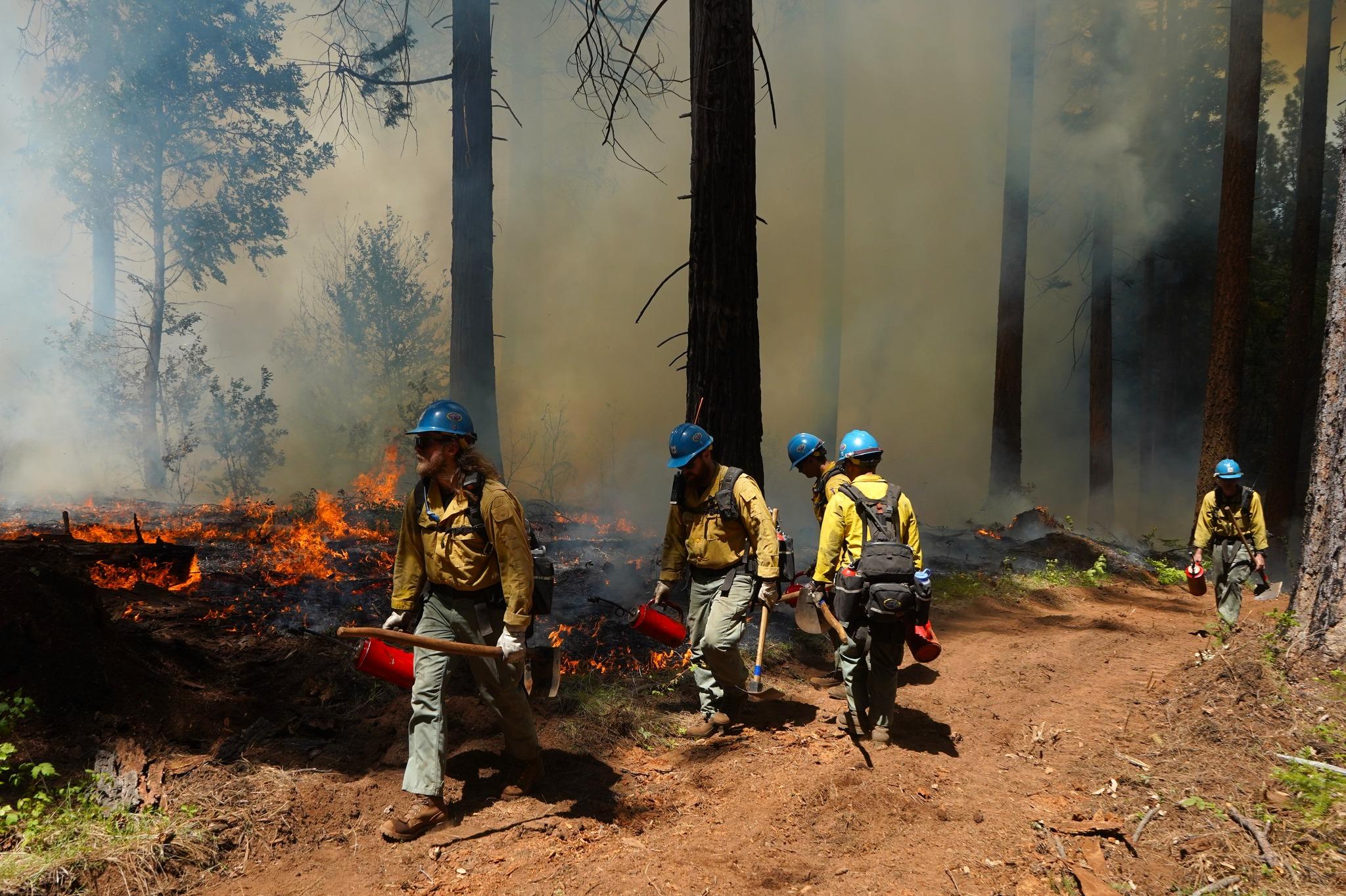 A crew performs underburn in the Tahoe National Forest earlier this year. Photo courtesy of Tahoe National Forest.