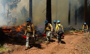 Tahoe Forest Plans Prescribed Burns Near Truckee