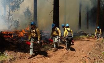 Tahoe Forest Plans Prescribed Burns Near Truckee