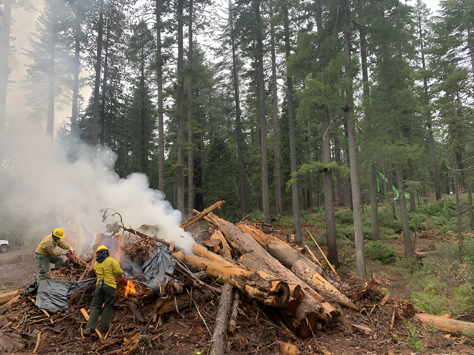 Controlled Burns Resume Across Plumas National Forest Ranger Districts