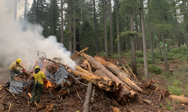 Controlled Burns Resume Across Plumas National Forest Ranger Districts
