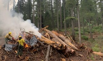 Controlled Burns Resume Across Plumas National Forest Ranger Districts