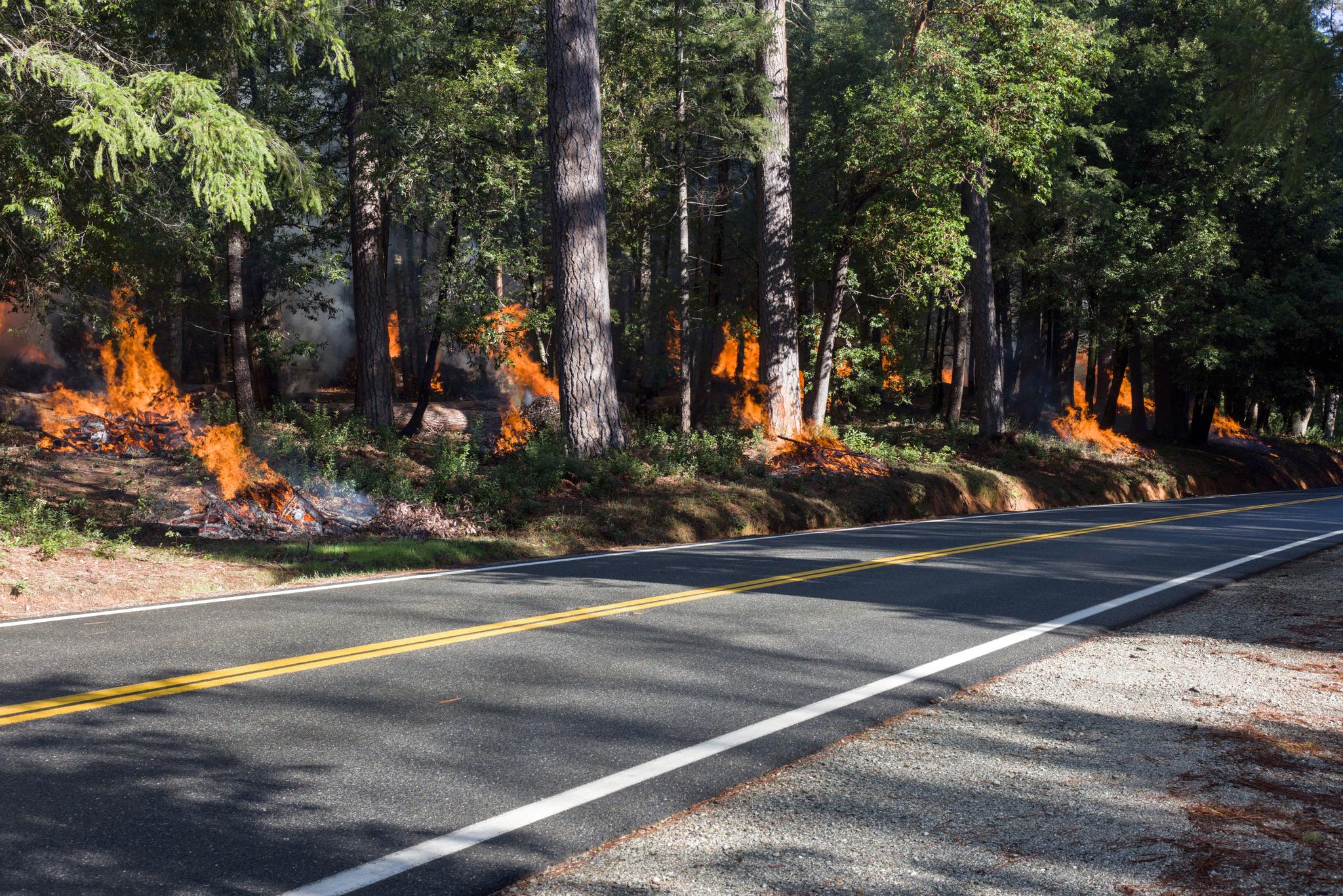 Piles were burned along Highway 49 near Camptonville.
