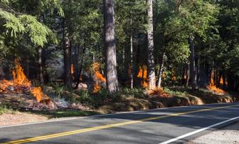 Tahoe Forest Conducts Pile Burns Along Highway 49