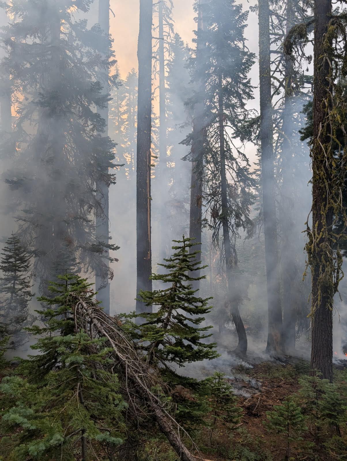 A photo of the Haskell Peak Fire shared by the Sierra County Sheriff’s Office.