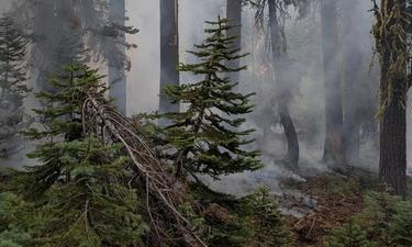 Contained Lightning Fires Highlight Ongoing Storm Risks in Foothills