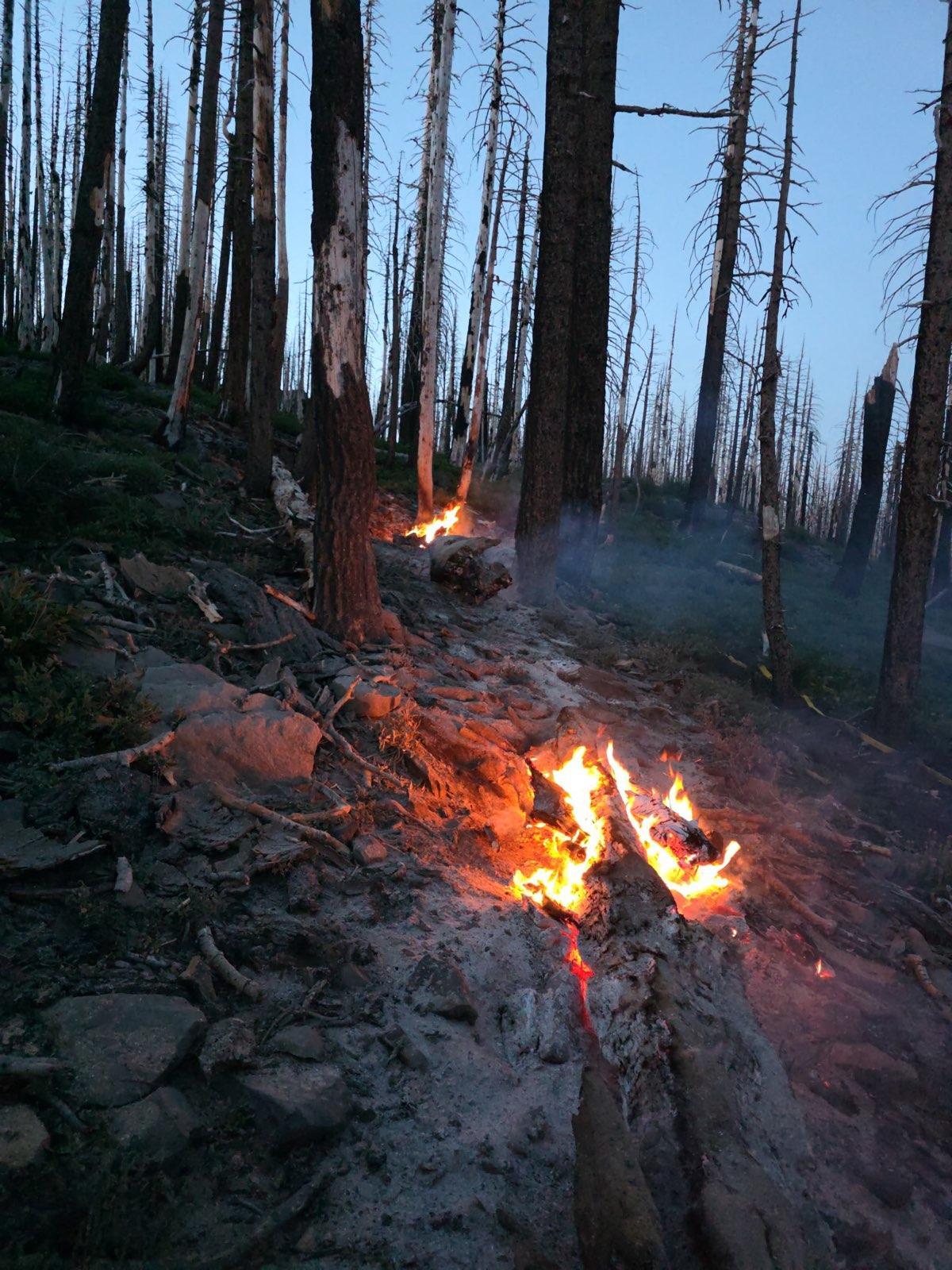 The Turner lightning fire in the Plumas National Forest. Credit: Plumas National Forest.