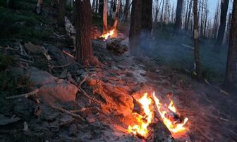 Eight Lighting Fires in Plumas National Forest Contained