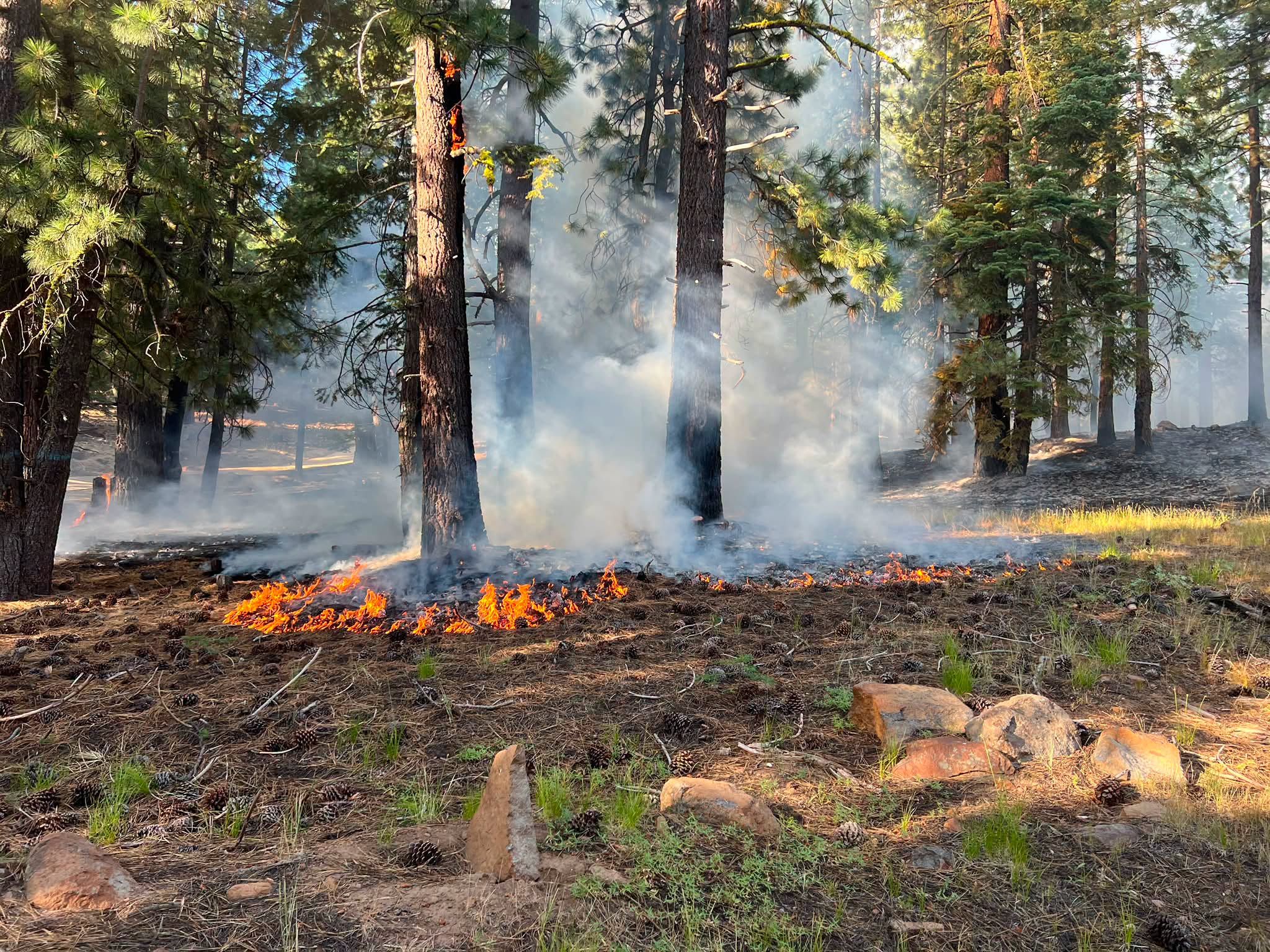 Scooter Tracks Led to Arrest in Crystal Peak Fire