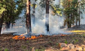 Scooter Tracks Led to Arrest in Crystal Peak Fire