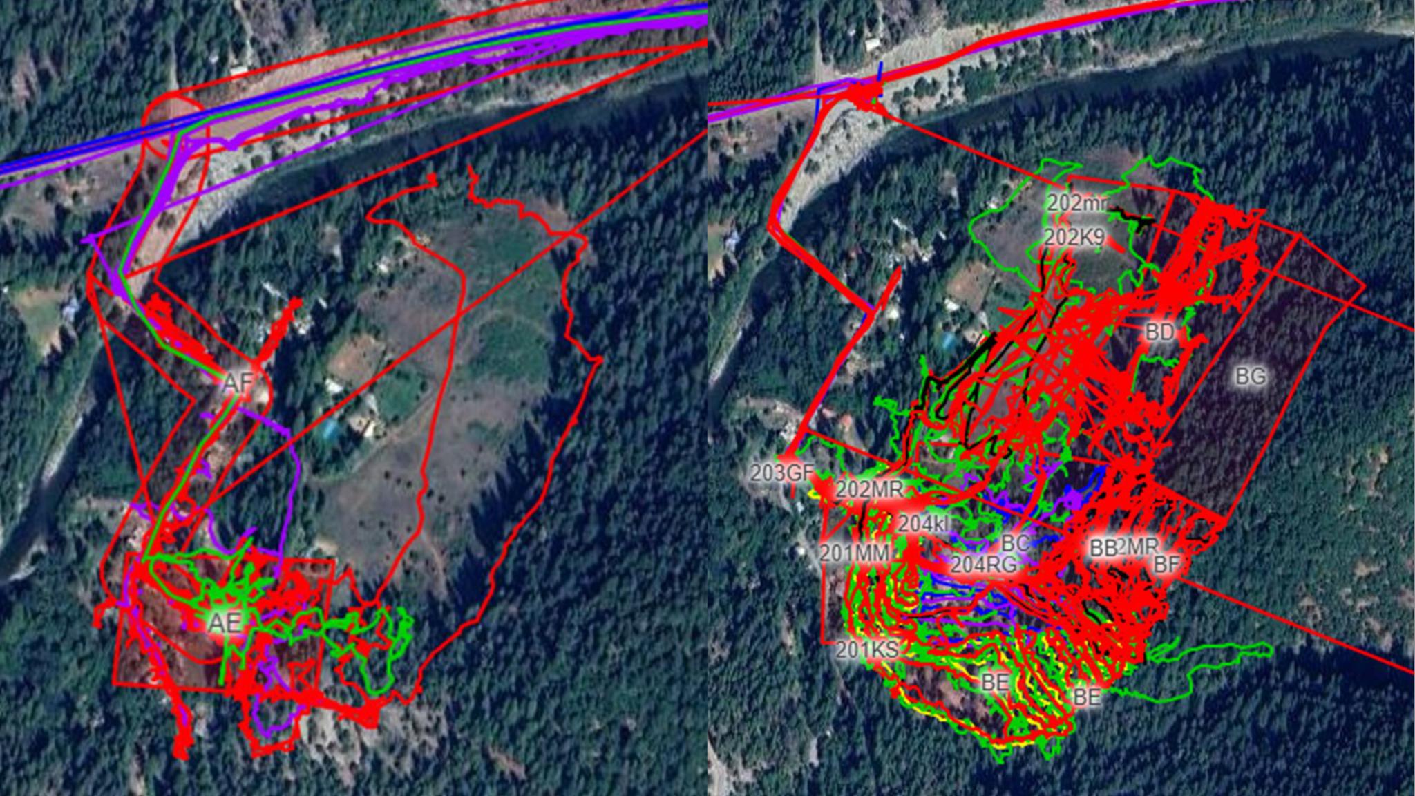 The area in Goodyears Bar searched in August (left) vs. the search area in November (right). Images shared by the Sierra County Sheriff’s Office.