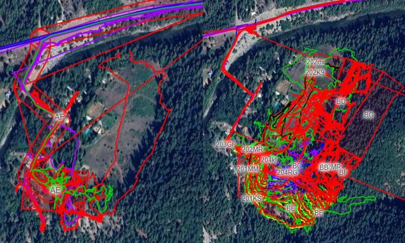 Clothing Linked to Missing Resident Gil Clark