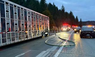 Cattle Dead From Commercial Vehicle Brake Fire on I-80