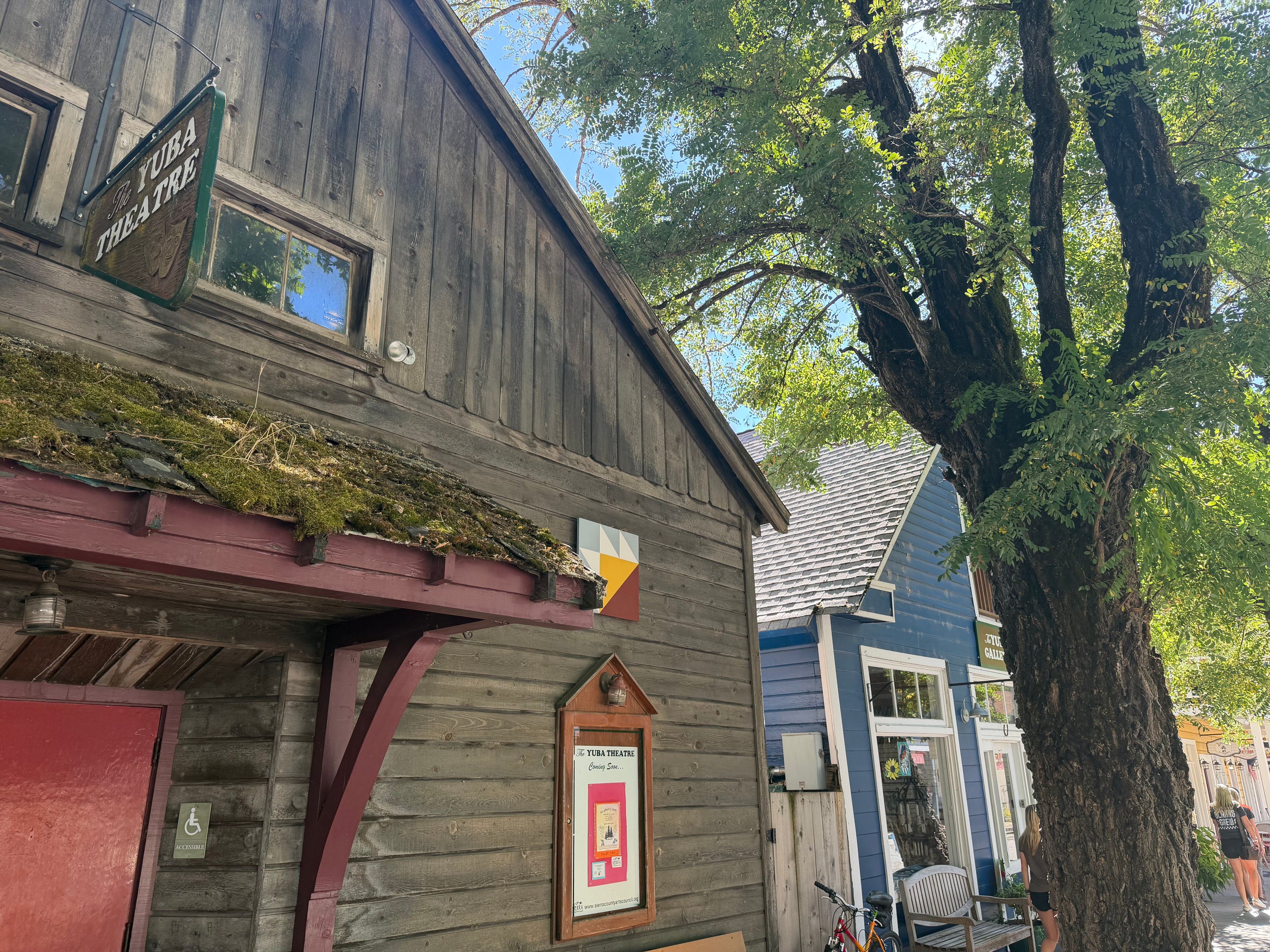 Trees along Main Street are touching buildings, including the historic Yuba Theatre.