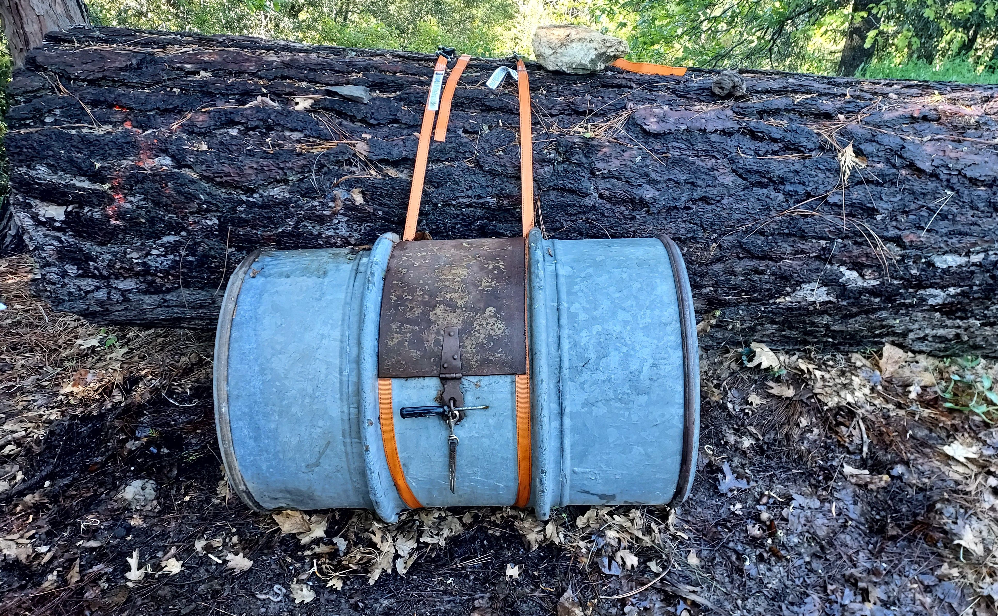The author’s bear-proof Compost Bin no. 3