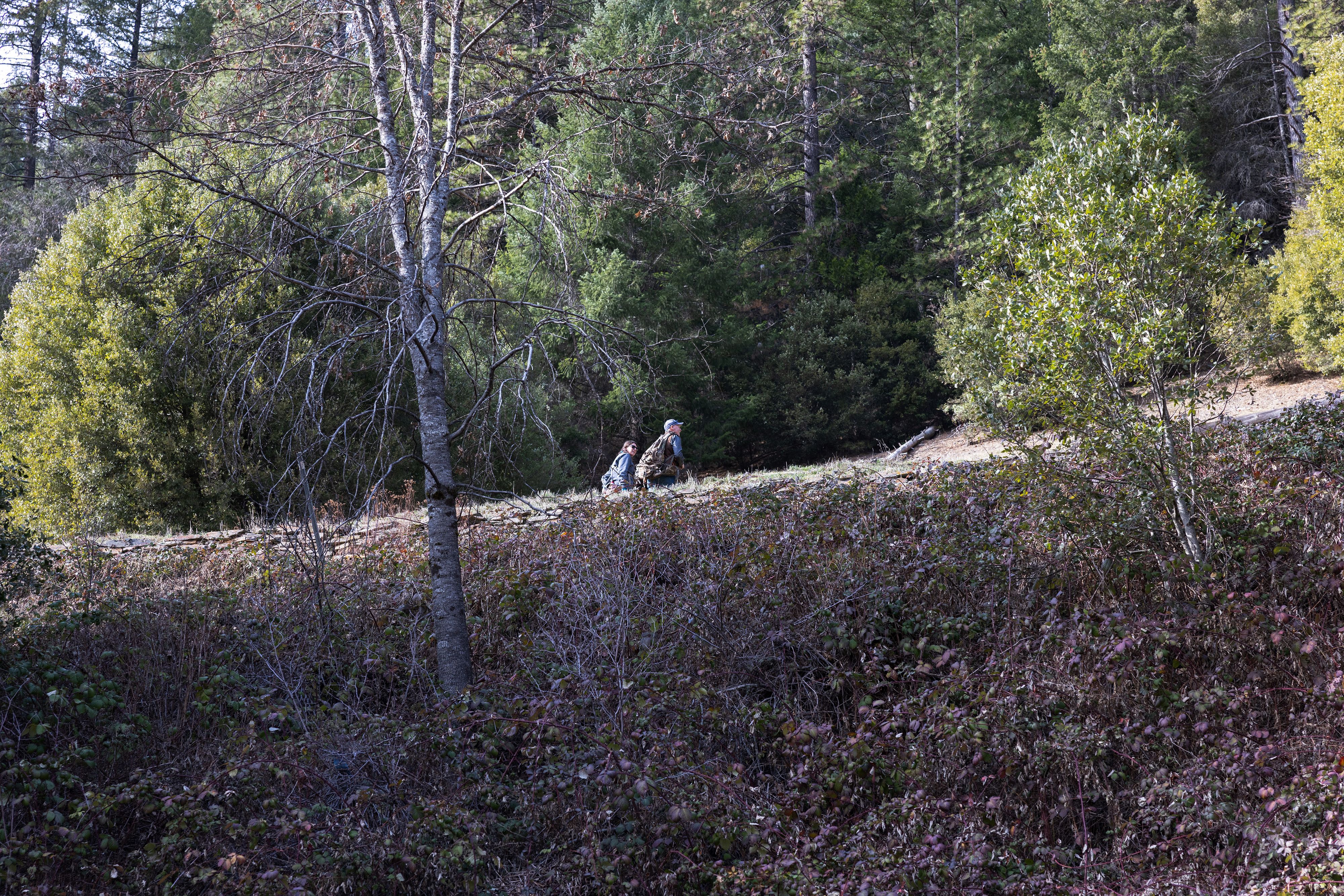 Kincaid and Ehlers hike toward Oxford Mine Road with hounds in search of mountain lions