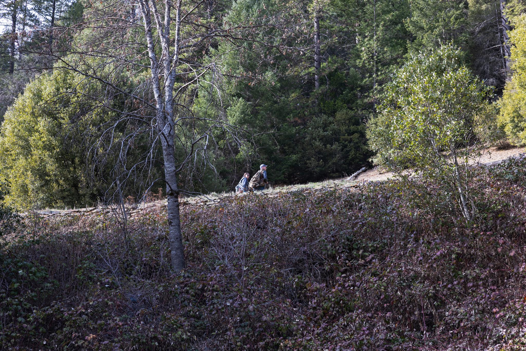 Kincaid and Ehlers hike toward Oxford Mine Road with hounds in search of mountain lions