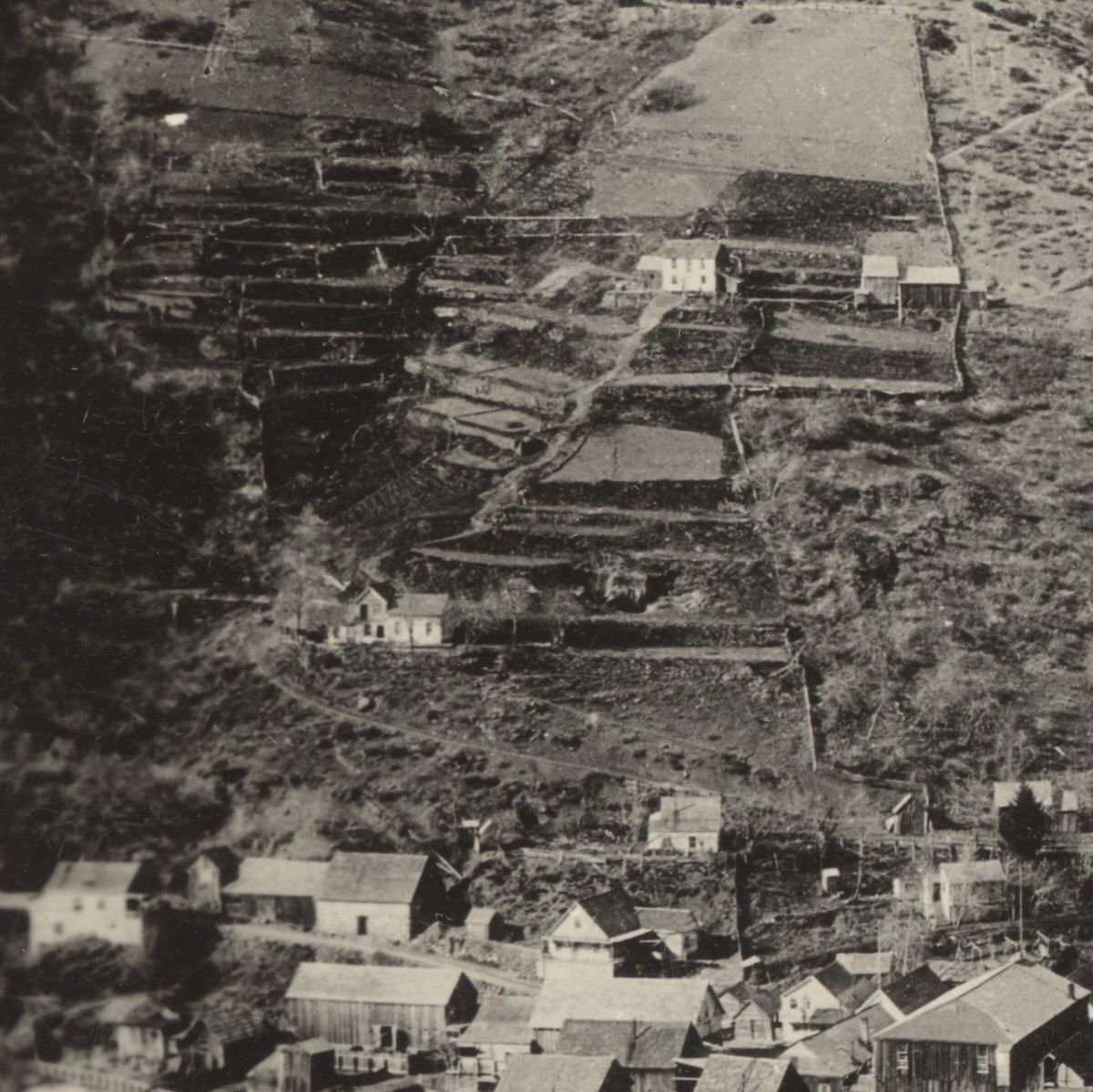 Cory's Historical Corner