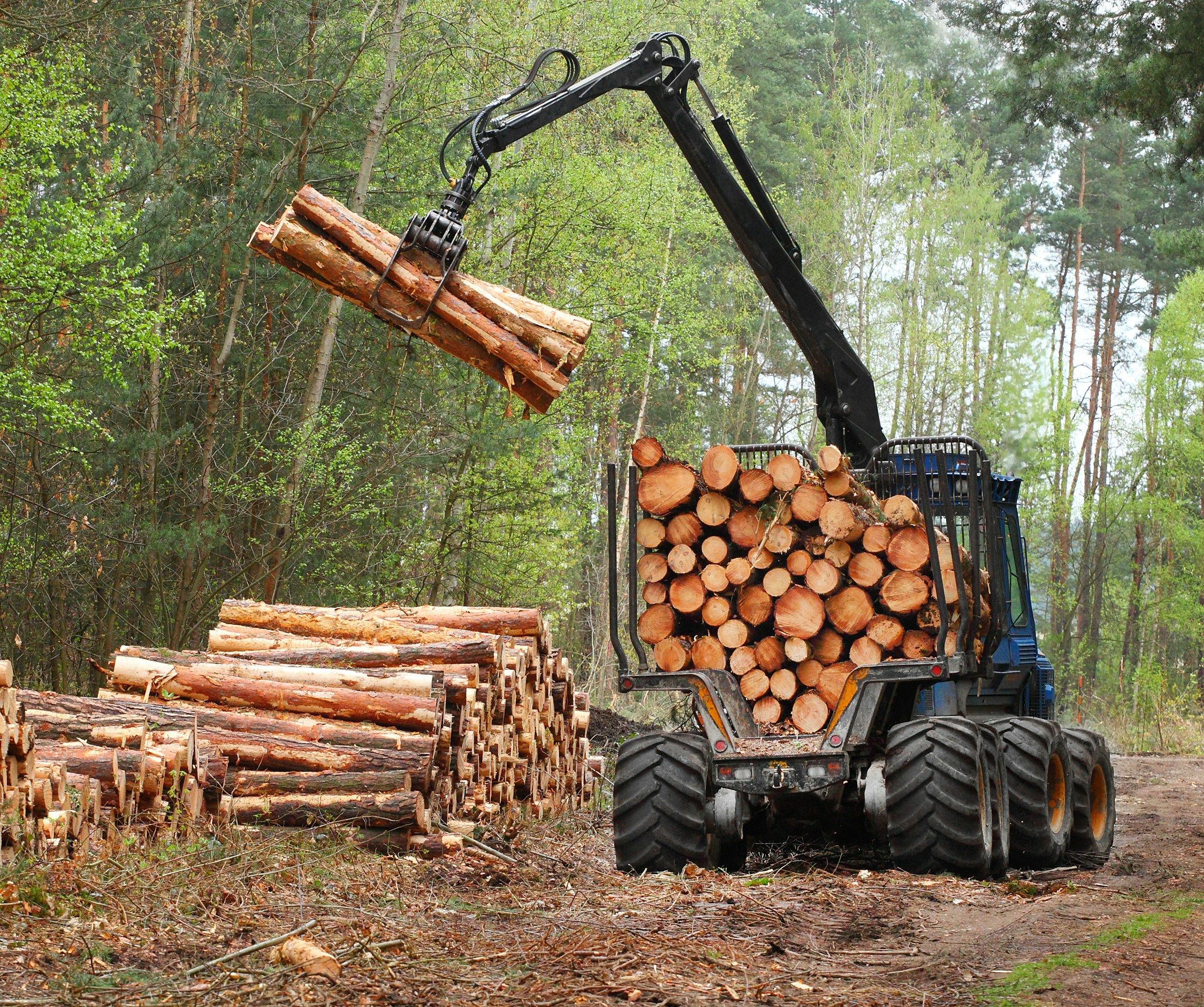 The USDA is guaranteeing loans for timber production projects.