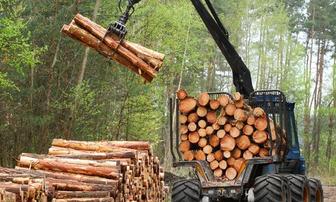 USDA Guarantees $115.2 Million to Expand Timber Production