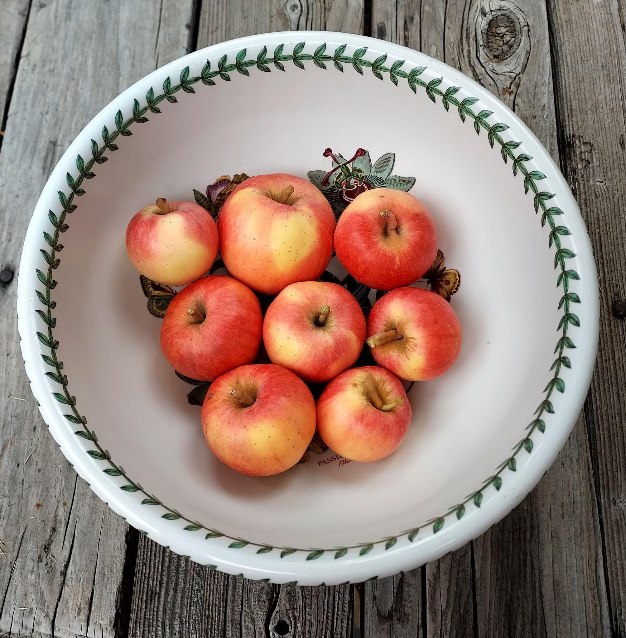 Rolly’s apples, October 2025.