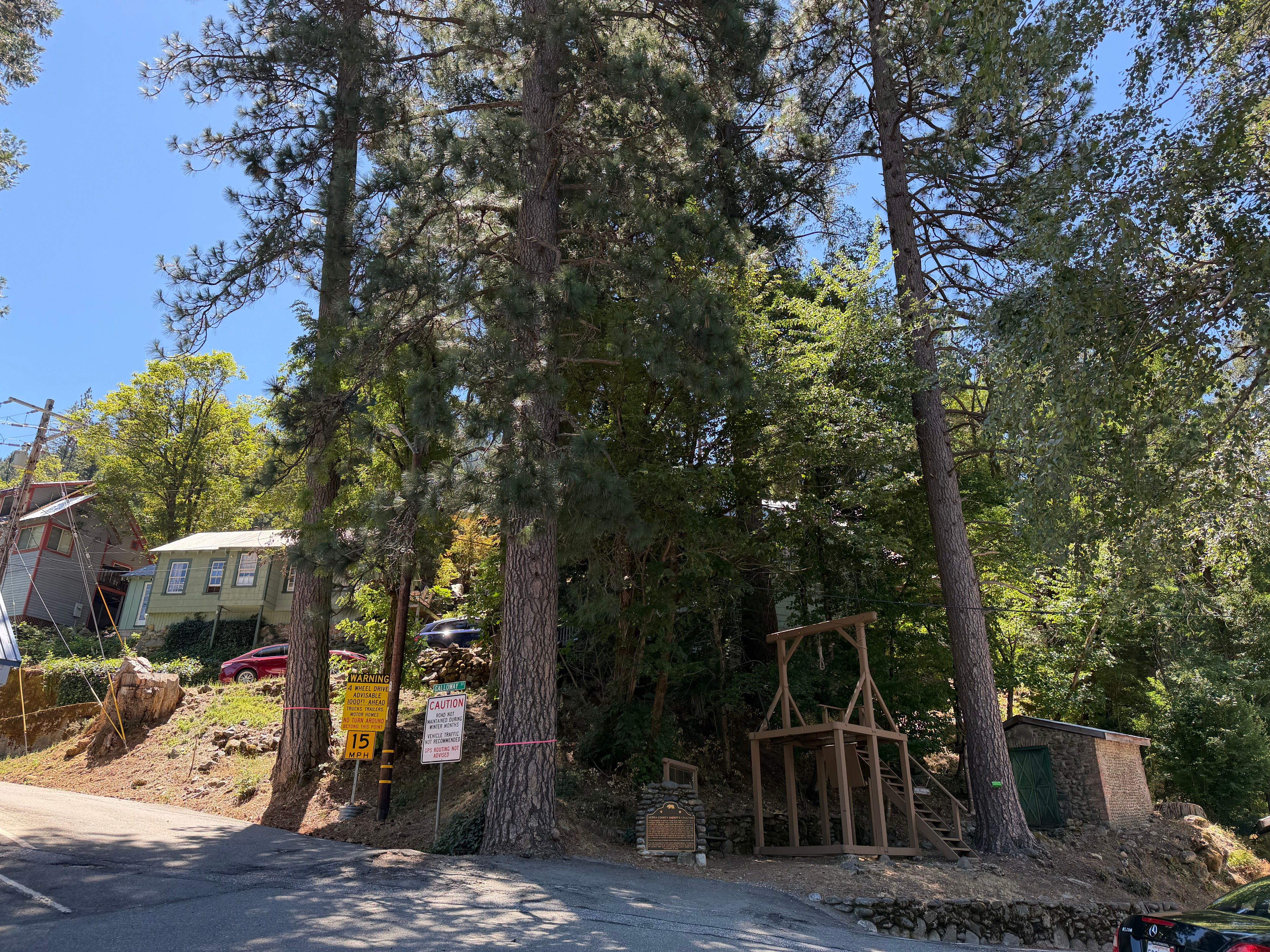 Sierra County Considers Cutting Trees Near Historic Gallows