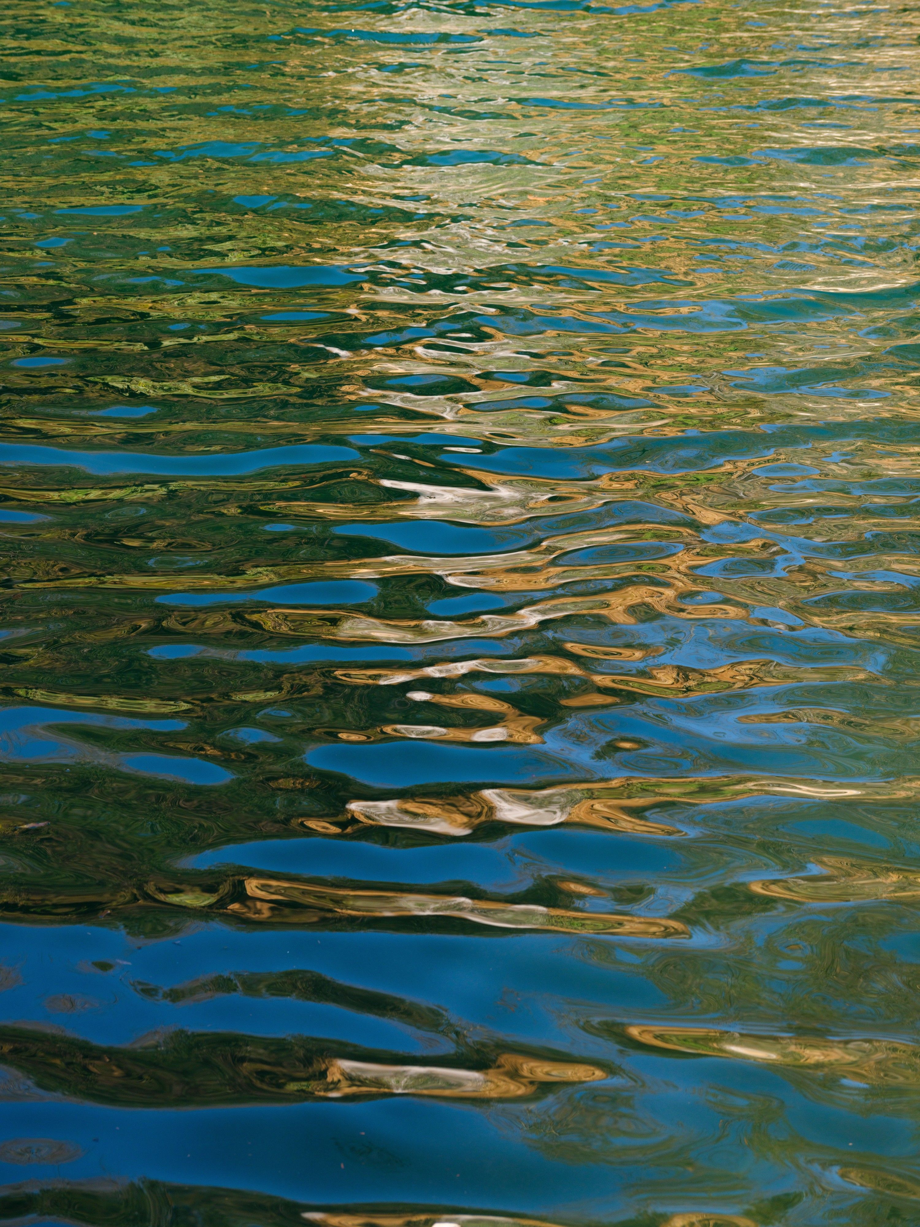 Groups Press 2026 Governor Hopefuls on Water Policy