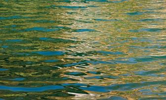 Groups Press 2026 Governor Hopefuls on Water Policy