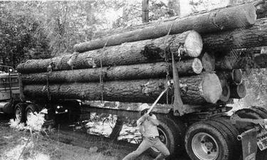 Kevin Collins, Part 4