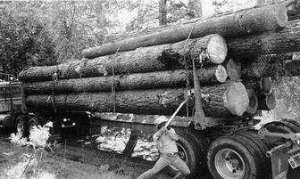 Kevin Collins, Part 4