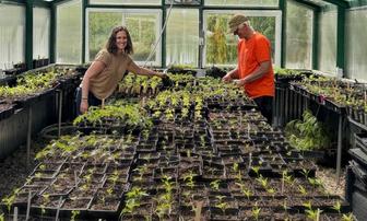 Mother’s Day Plant Sale Returns to Nevada City