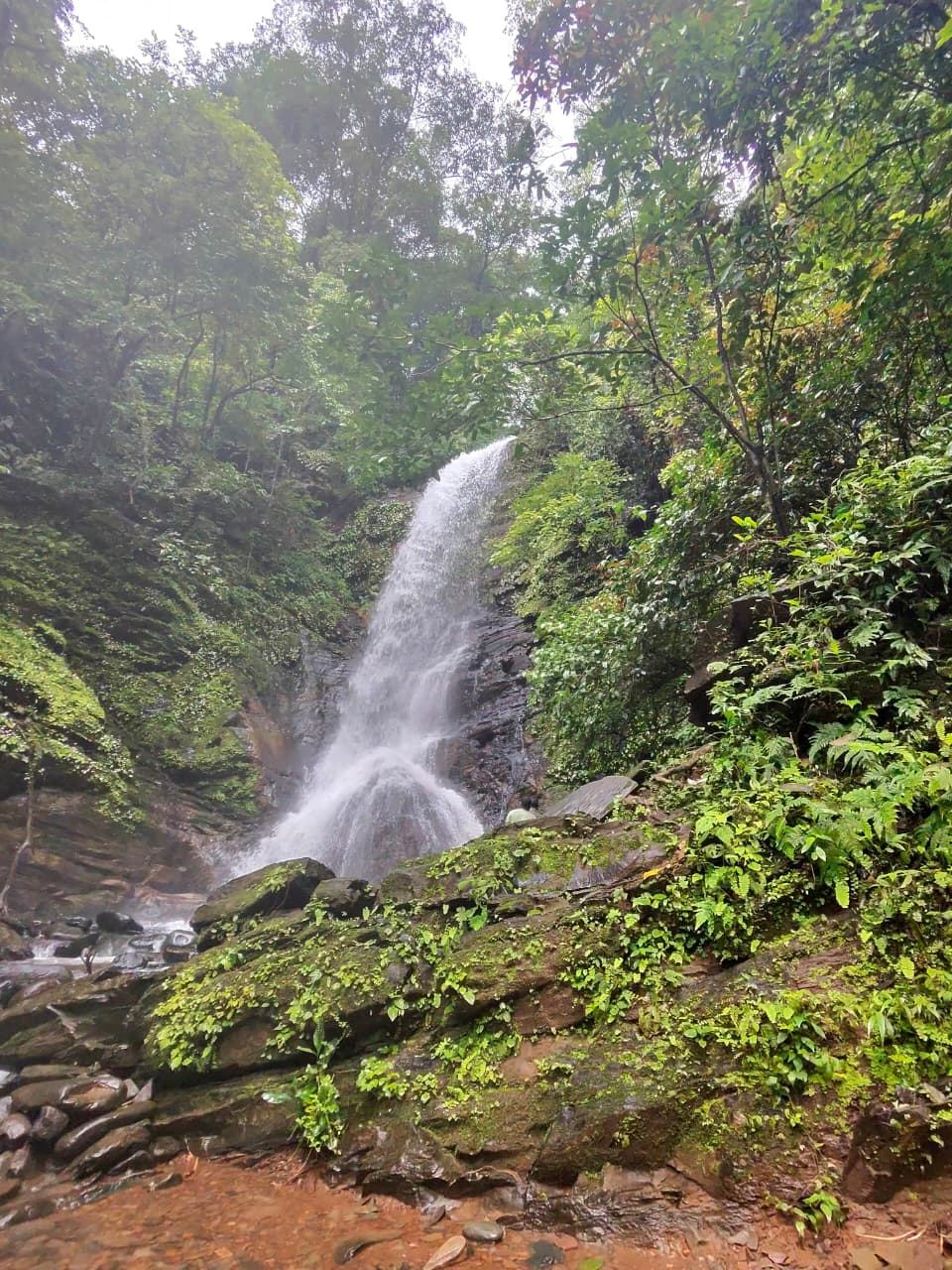 Pali Waterfalls + Food + Transport