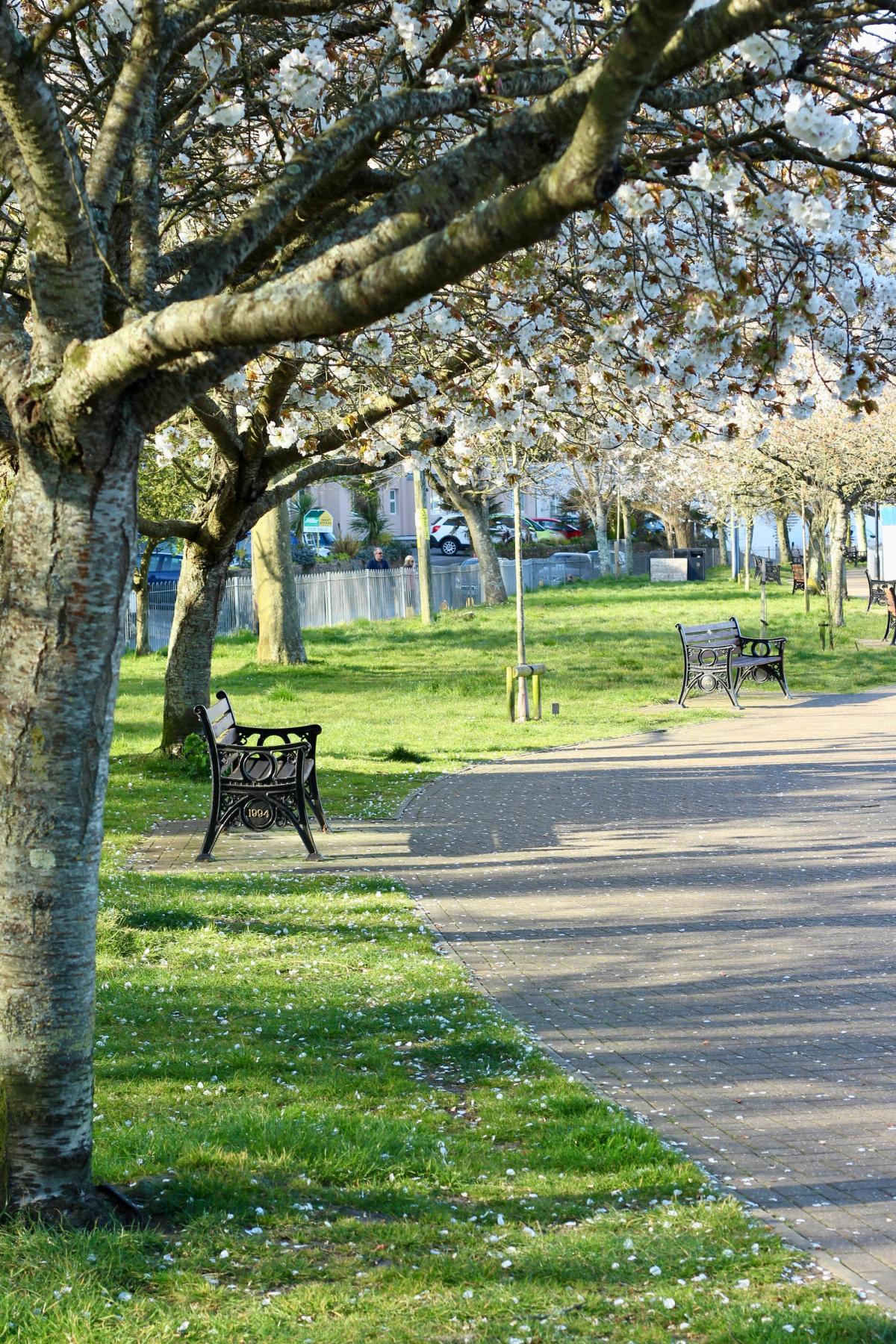 Brent praised for best kept parks and children play areas