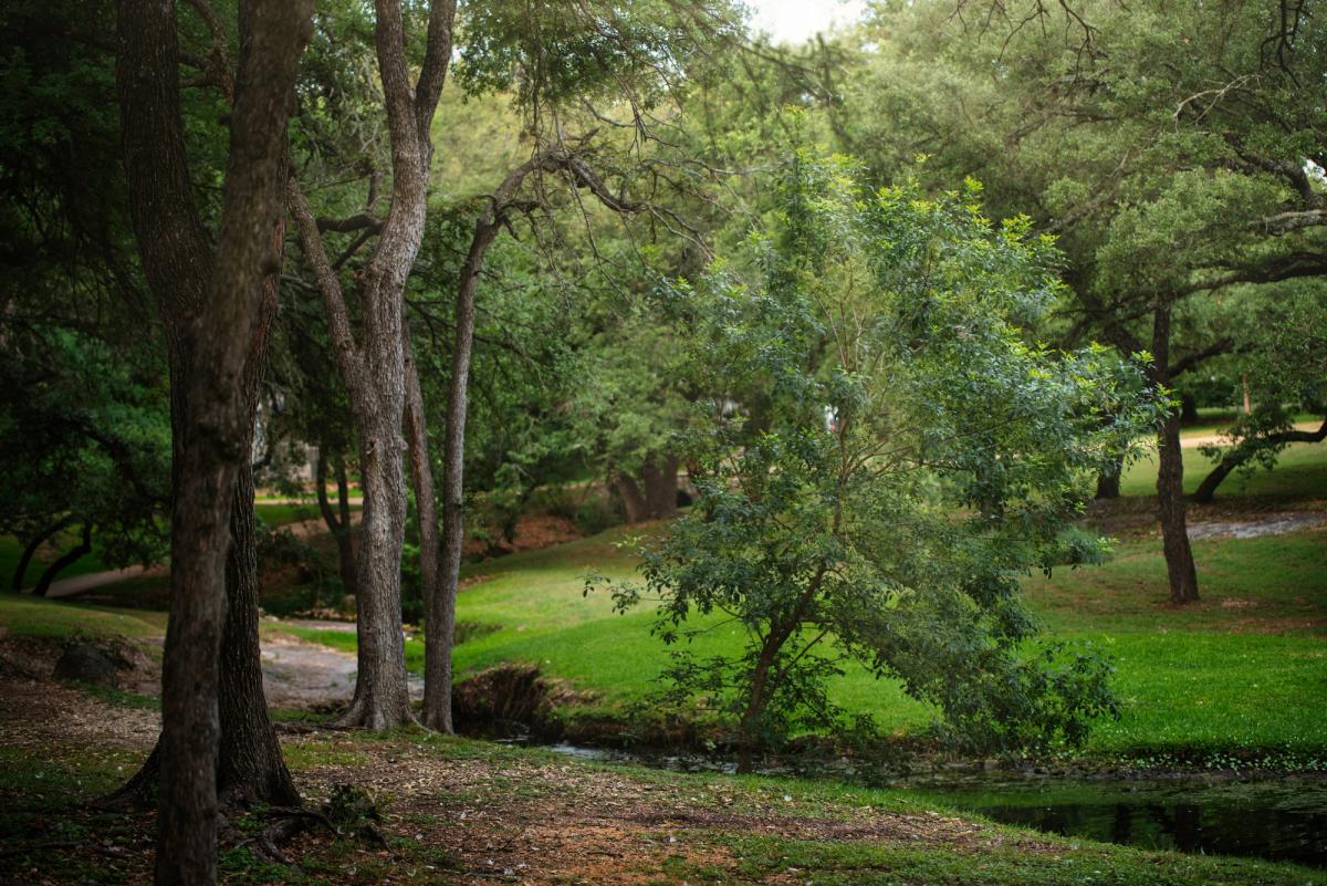 £215k for Major Lambeth Nature Upgrades