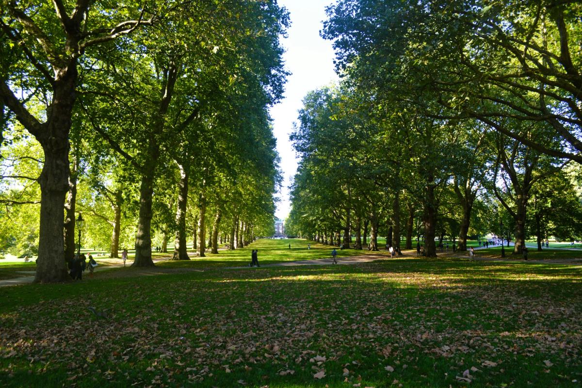 transformed grosvenor square’s park reopening to the public