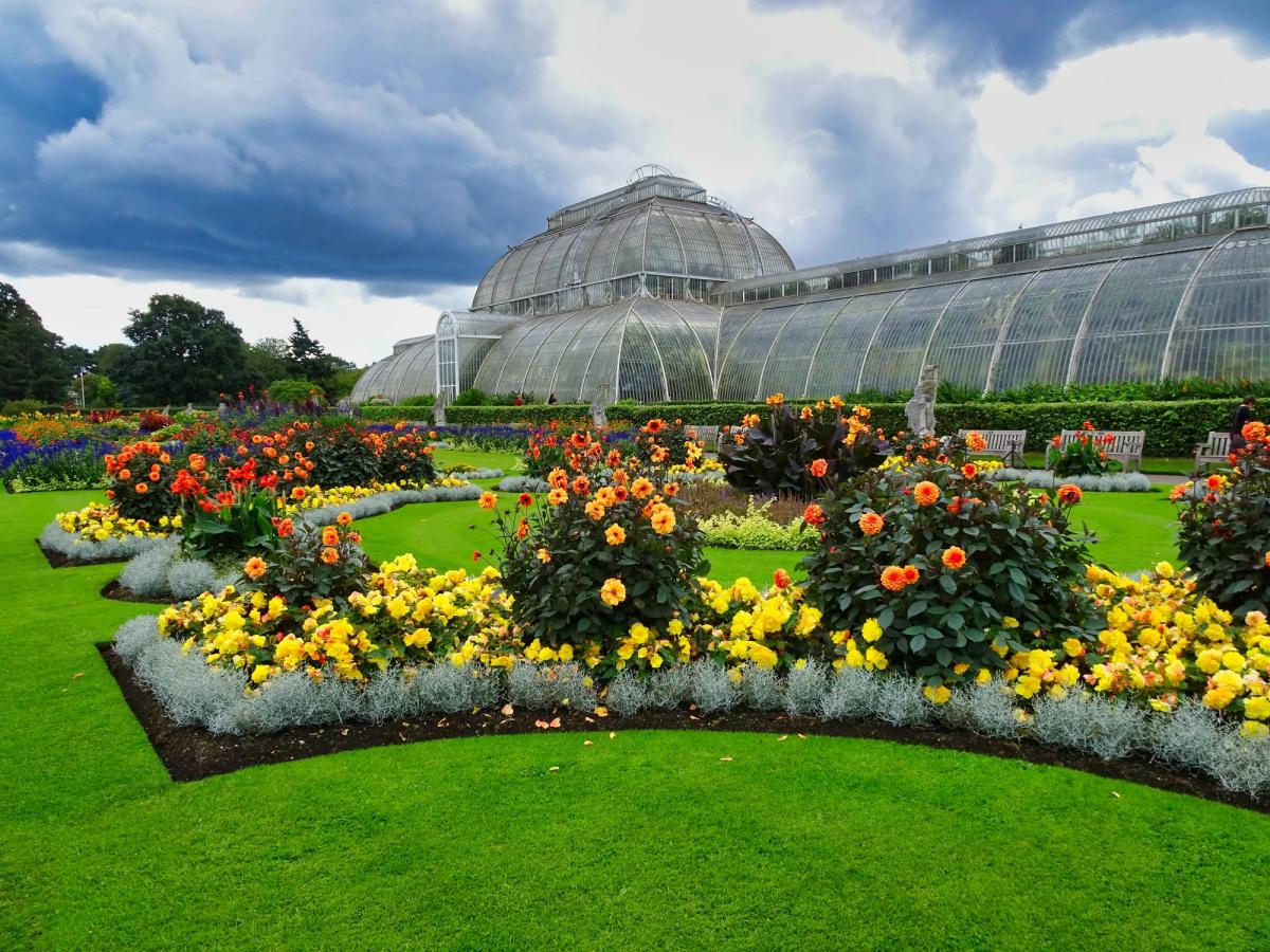 Visit Kew Gardens for £10 on Tuesdays