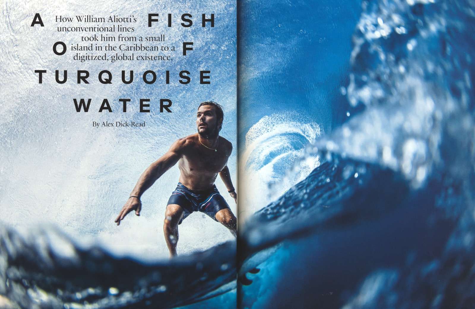 A Fish of Turquoise Water fornt cover