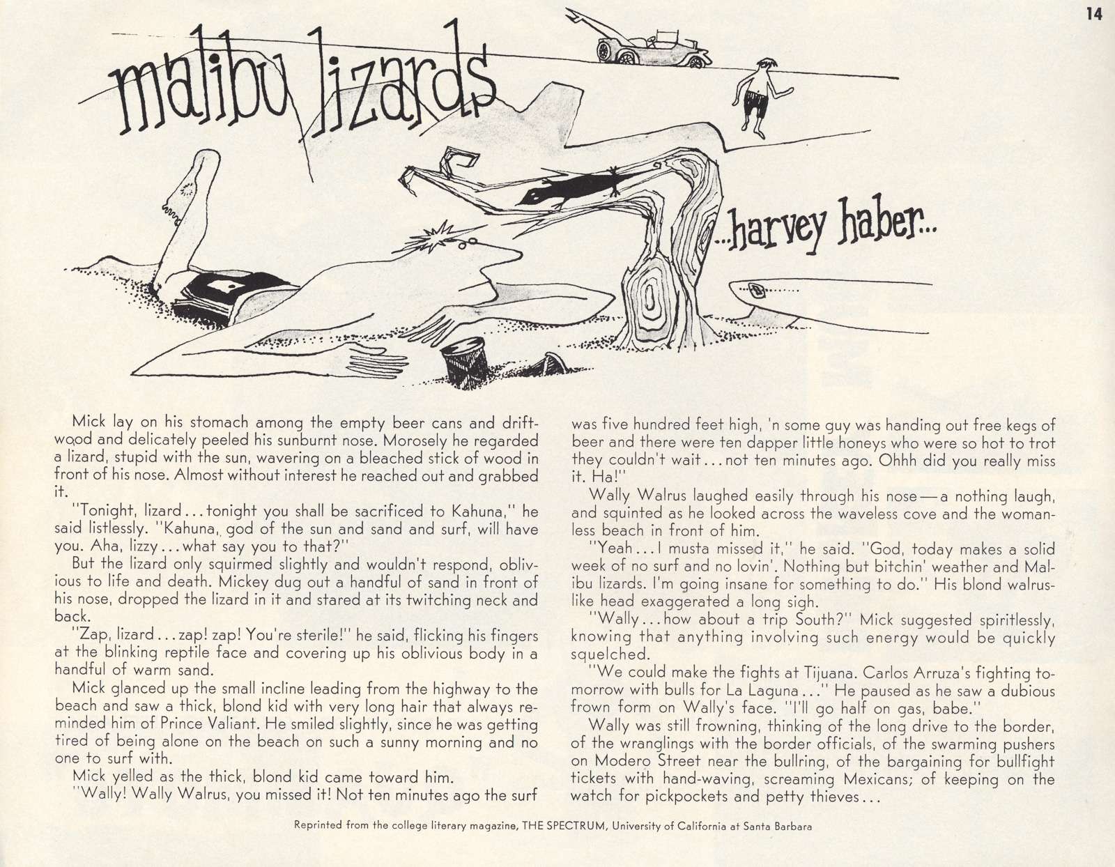 Malibu Lizards fornt cover
