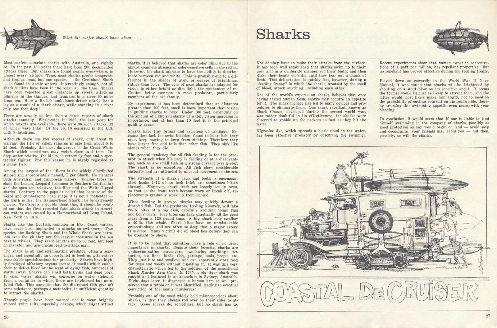What the Surfer Should Know about Sharks fornt cover