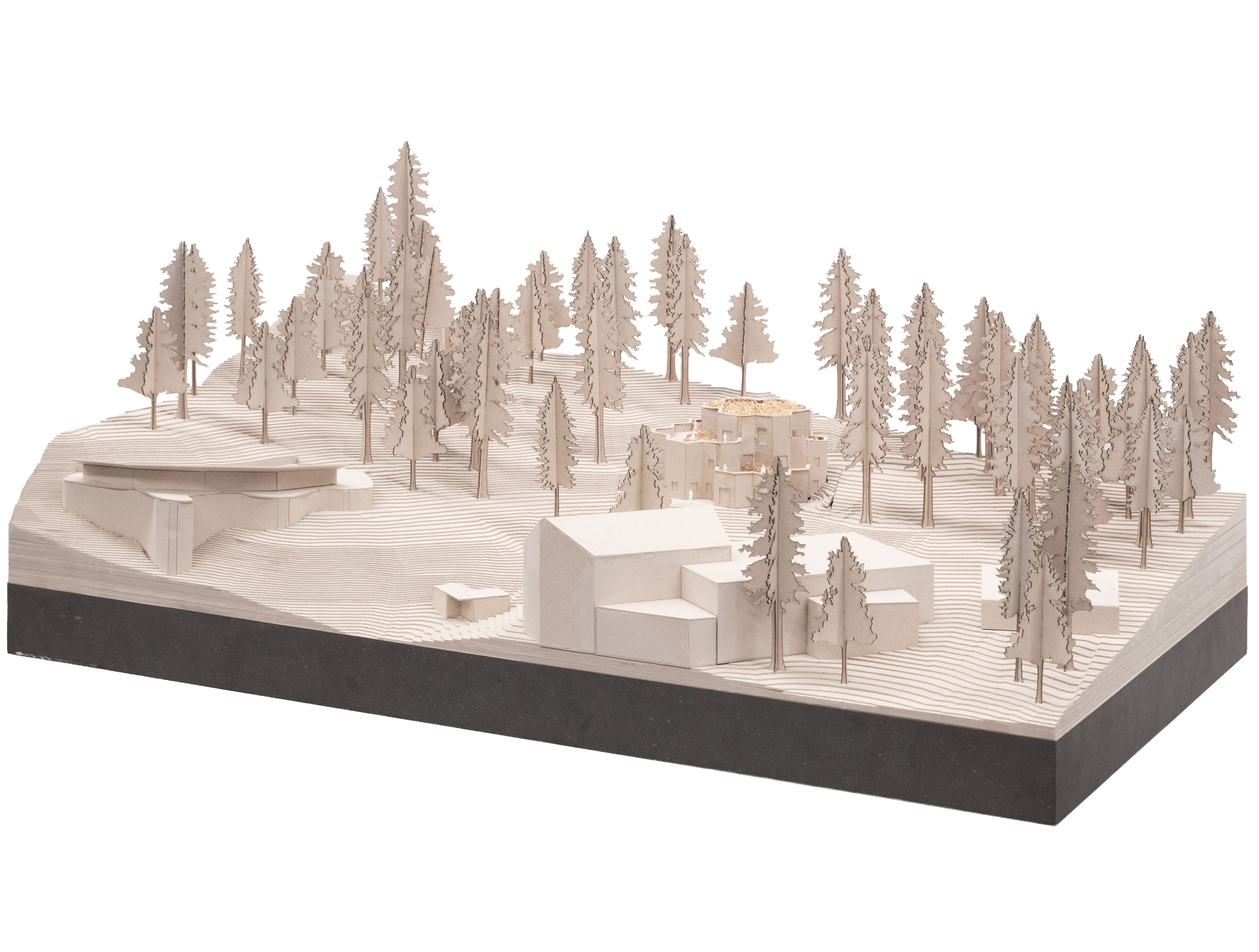 Site model, 1:100 for Felseck.