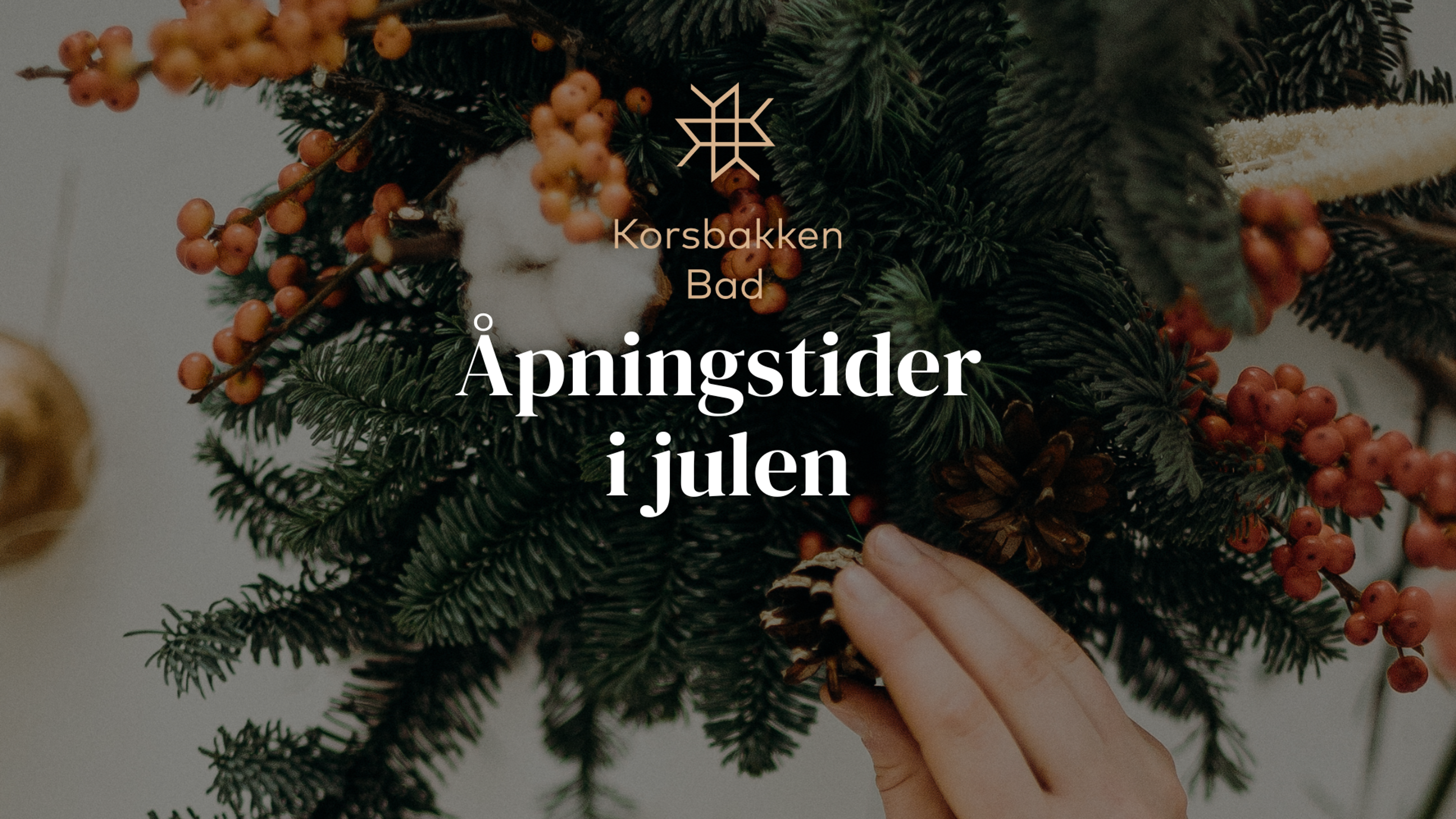 Bilde til «Åpningstider i julen»